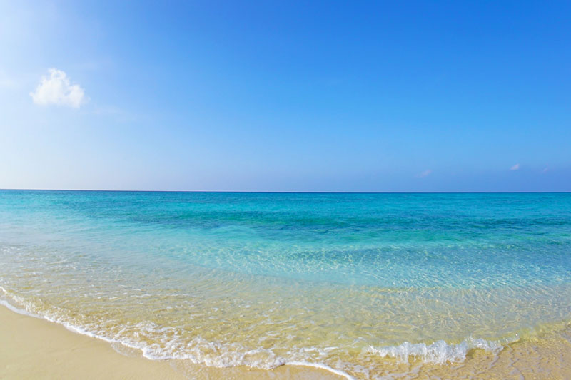 休むのは、当たり前の権利。有休消化率91％の実績